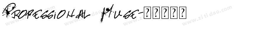 Professional Muse字体转换